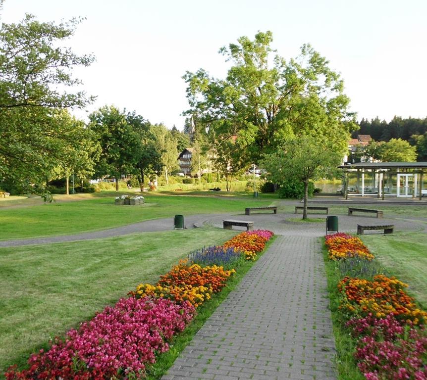 Premium-Ferienwohnungen Bergblick Im Haus Hopfe Goslar Exterior photo