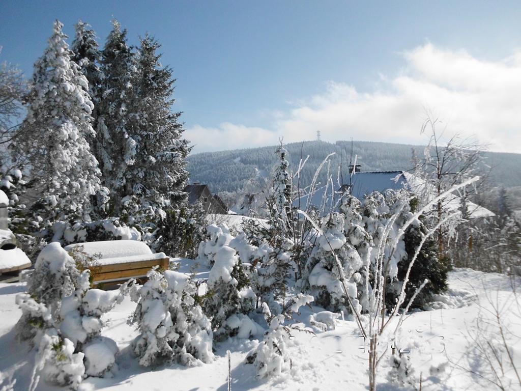 Premium-Ferienwohnungen Bergblick Im Haus Hopfe Goslar Exterior photo