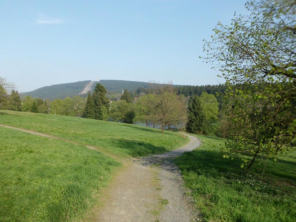 Premium-Ferienwohnungen Bergblick Im Haus Hopfe Goslar Exterior photo